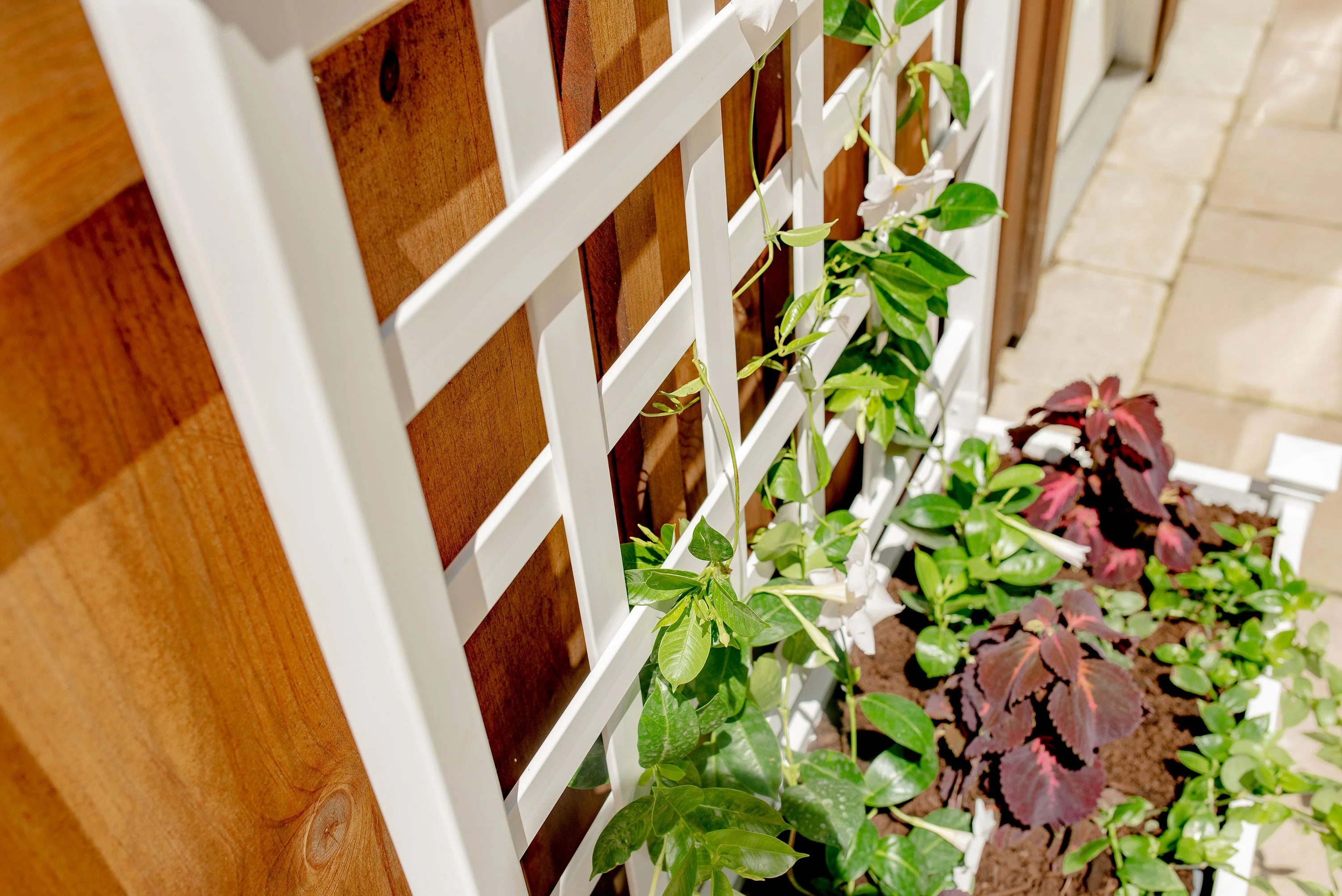 CLASSIC Huron Planter Box & Trellis - Image 4