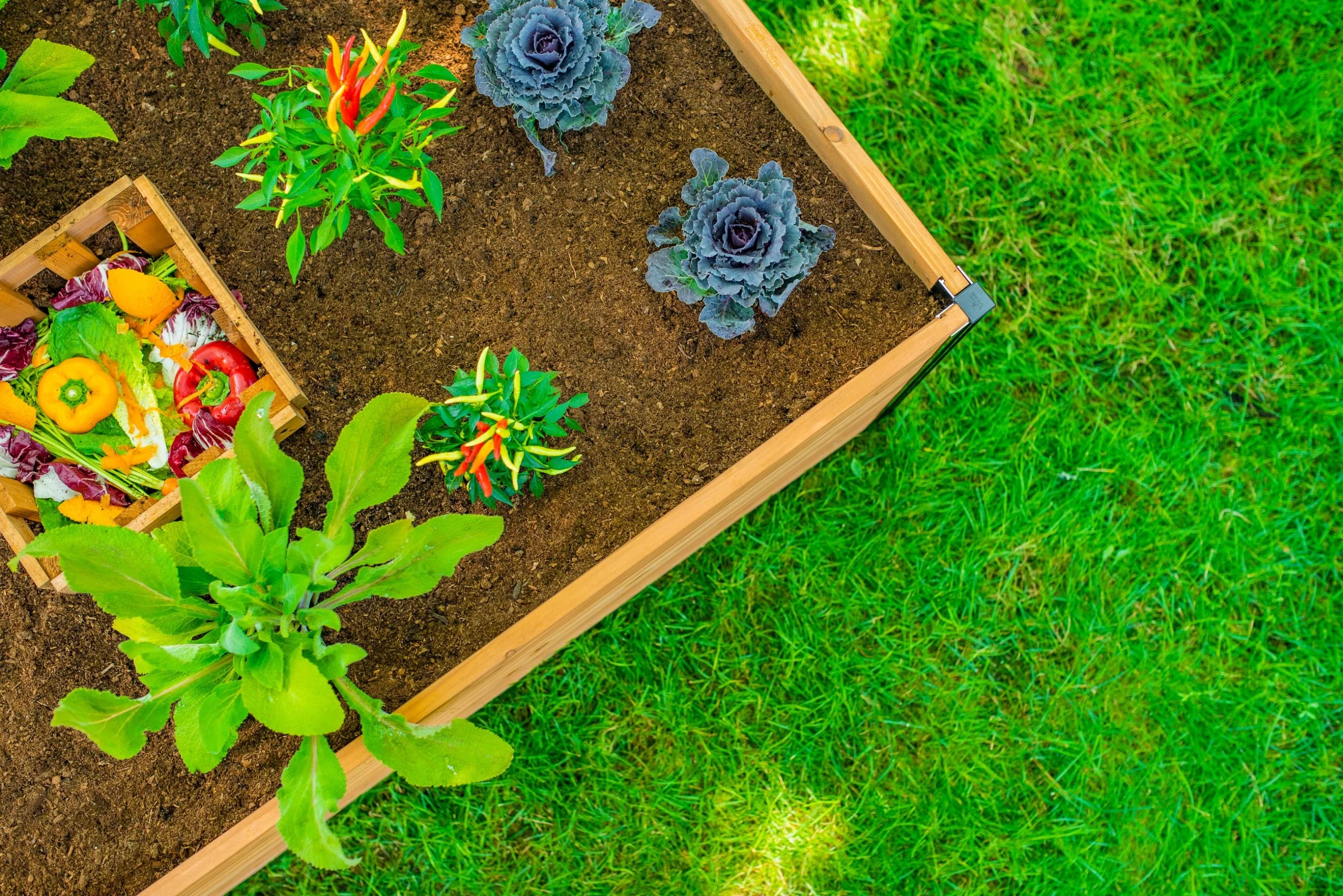 MEZZA 4x4 Keyhole Composting Garden - Image 5