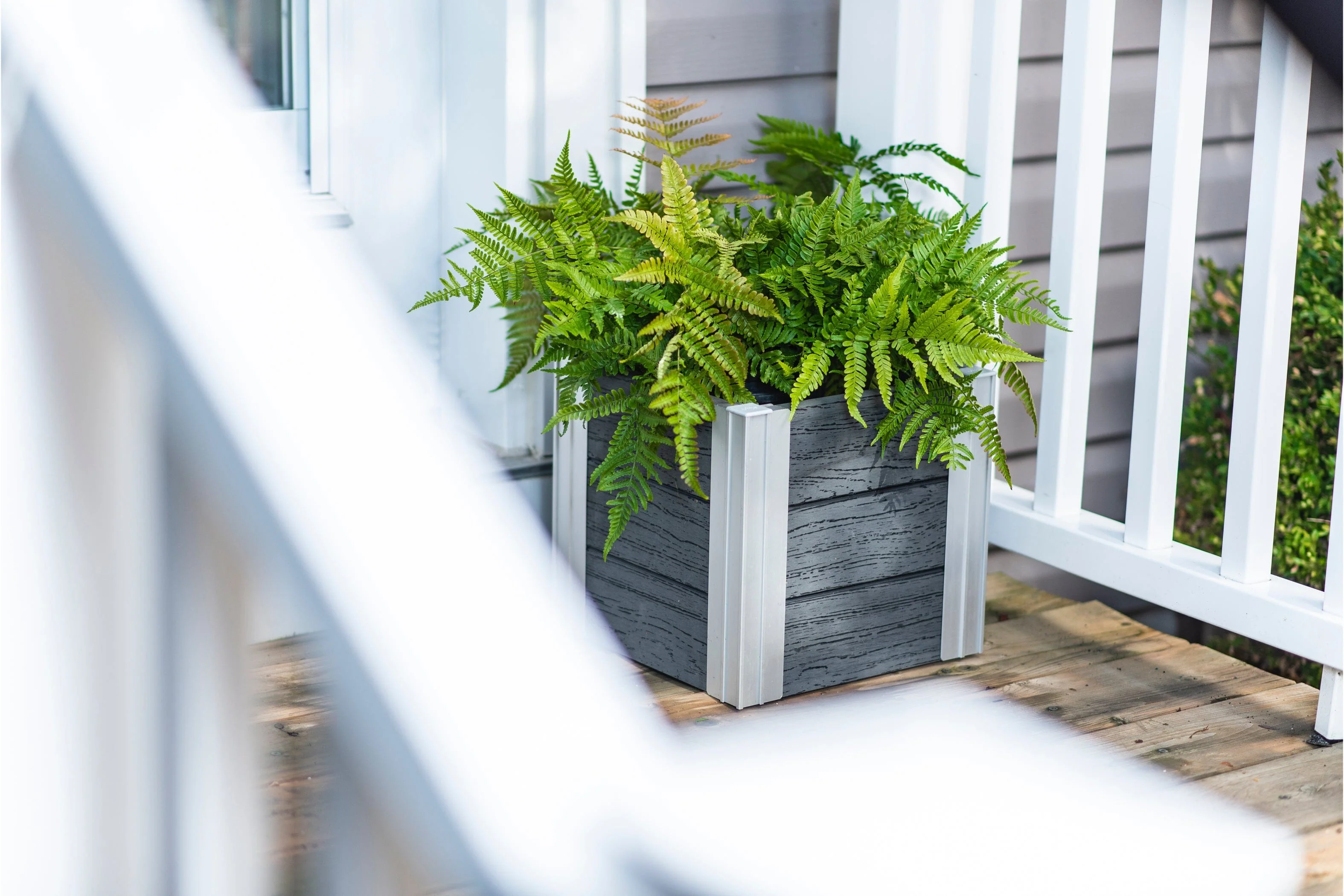 URBANA 12” Cube Planter - Image 3
