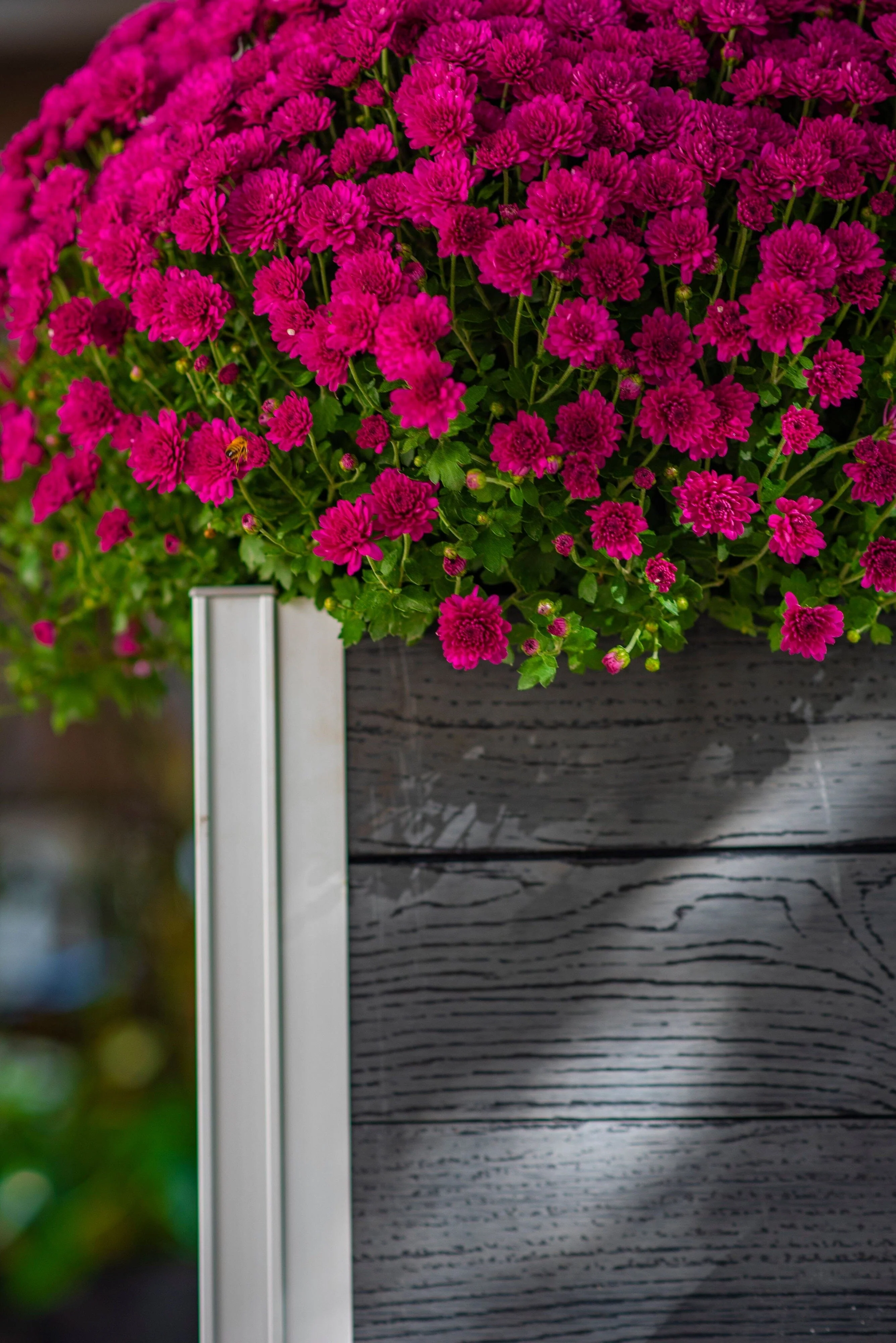 URBANA Pillar Planter - Image 6